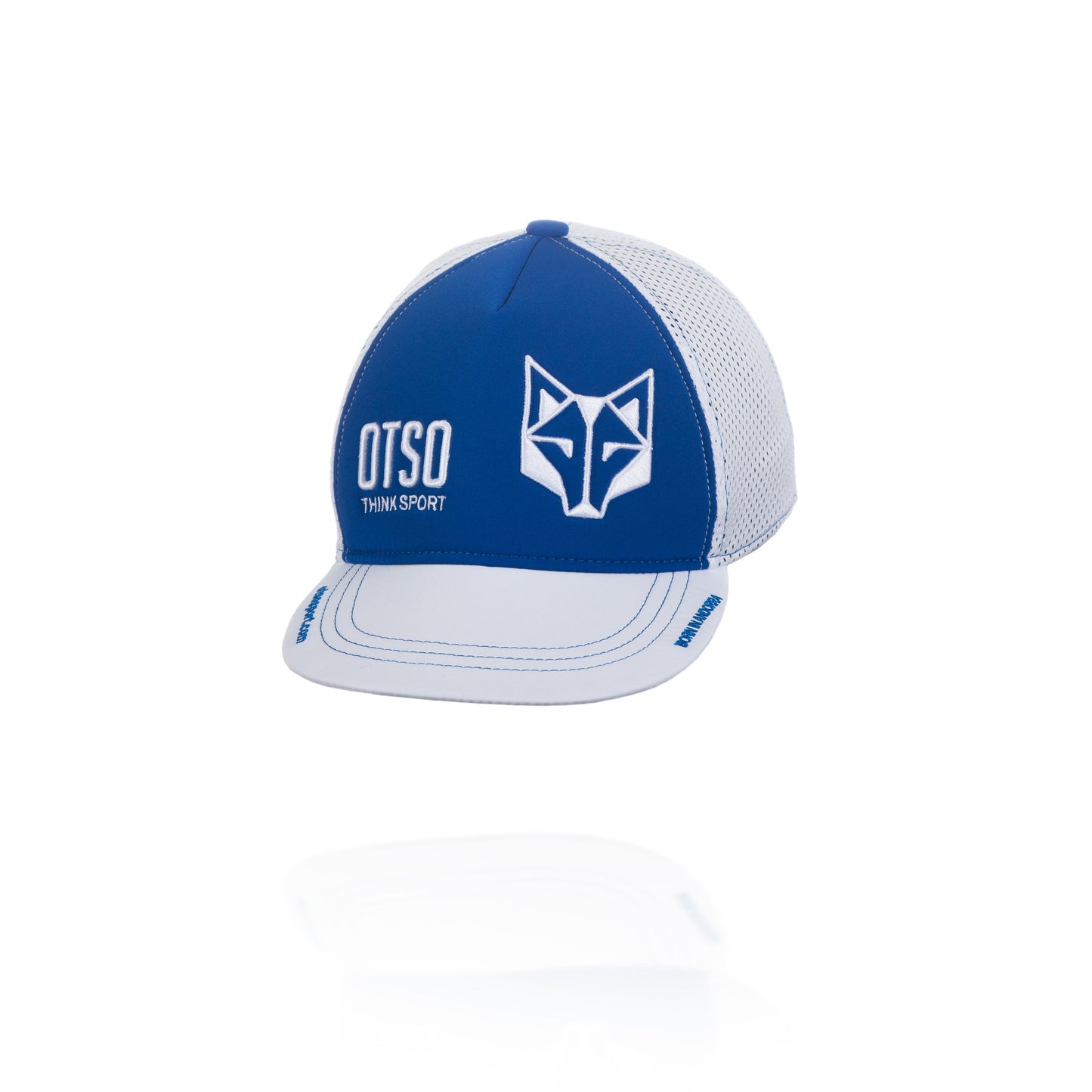 Gorra Snapback Electric Blue / White