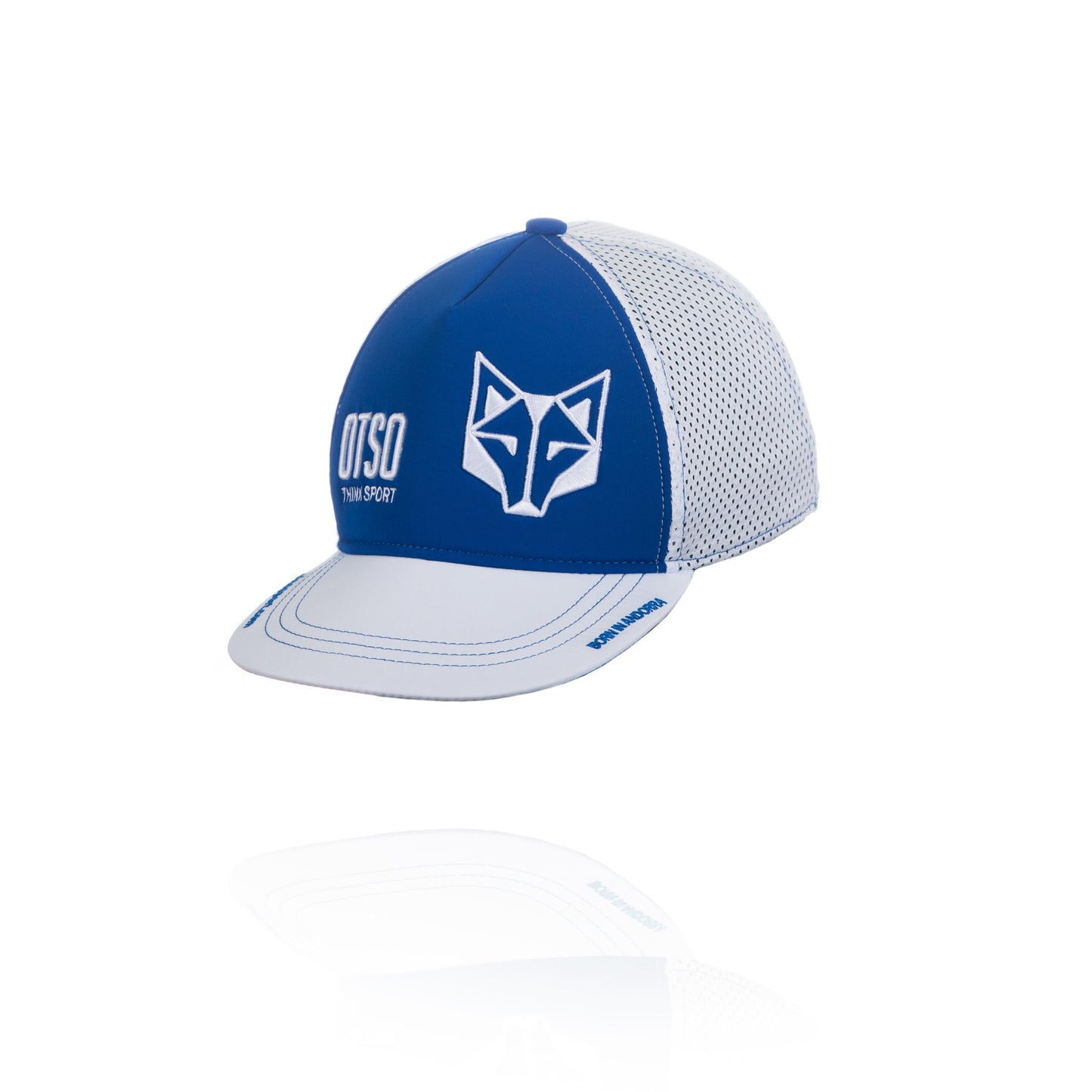 Gorra Snapback Electric Blue / White