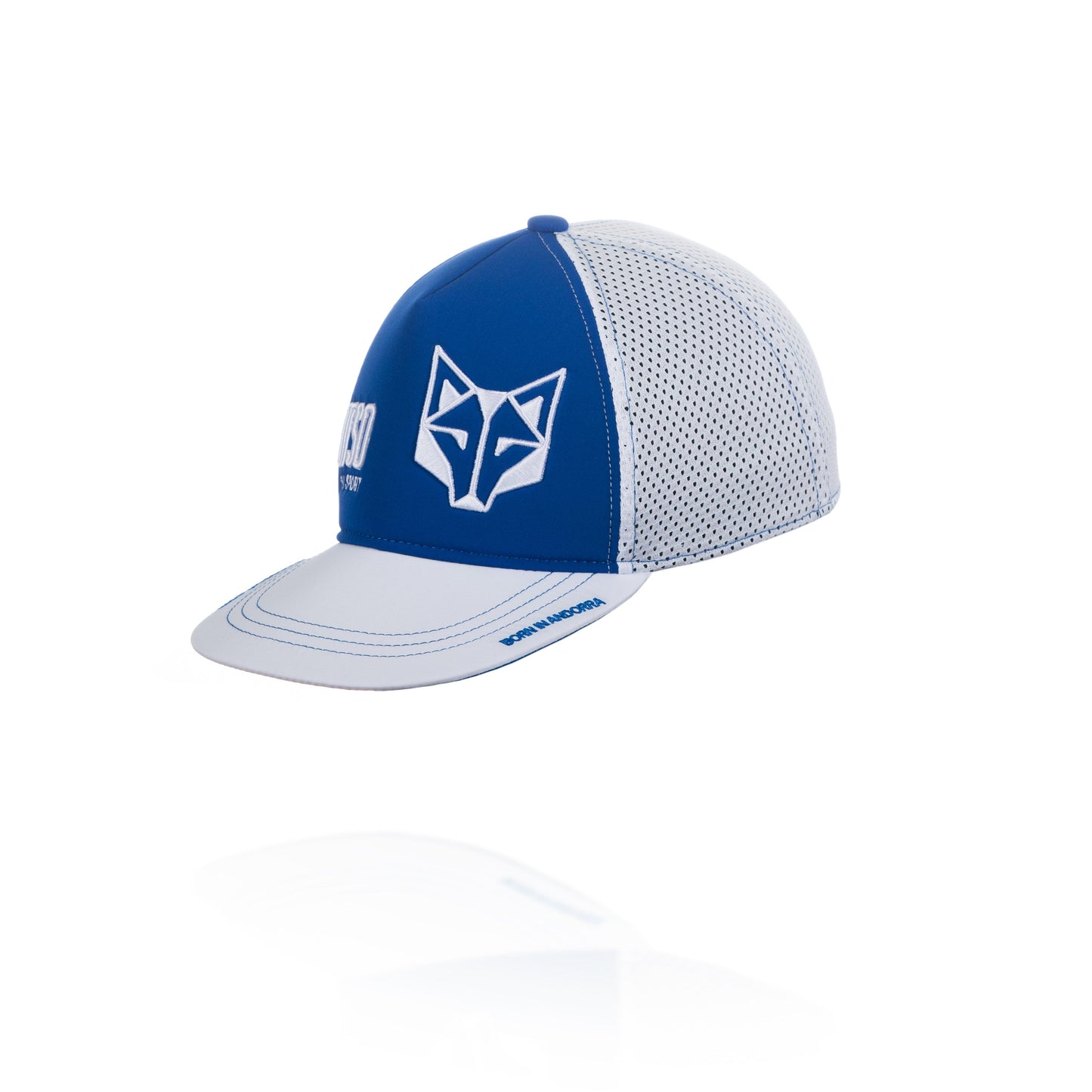 Gorra Snapback Electric Blue / White