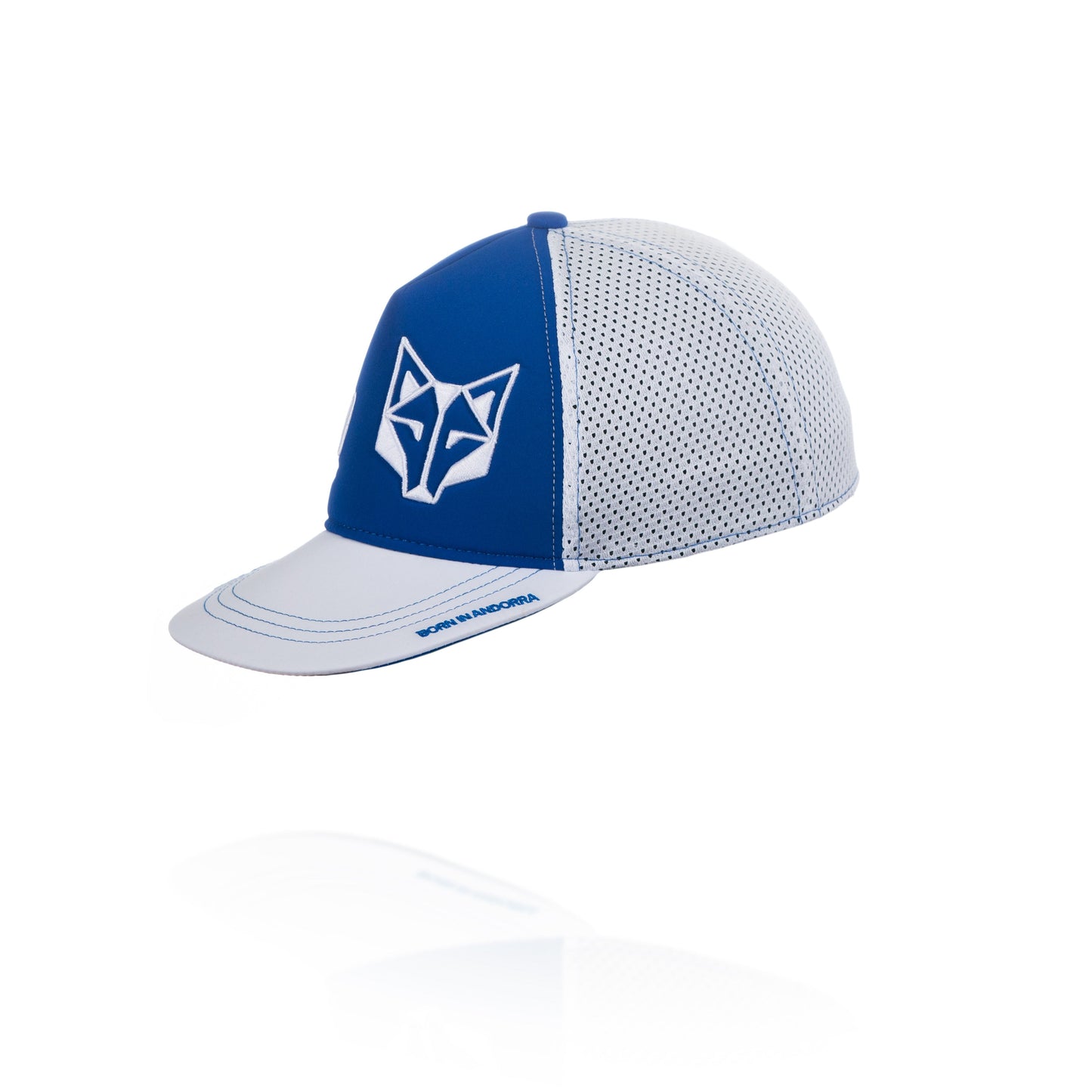 Gorra Snapback Electric Blue / White