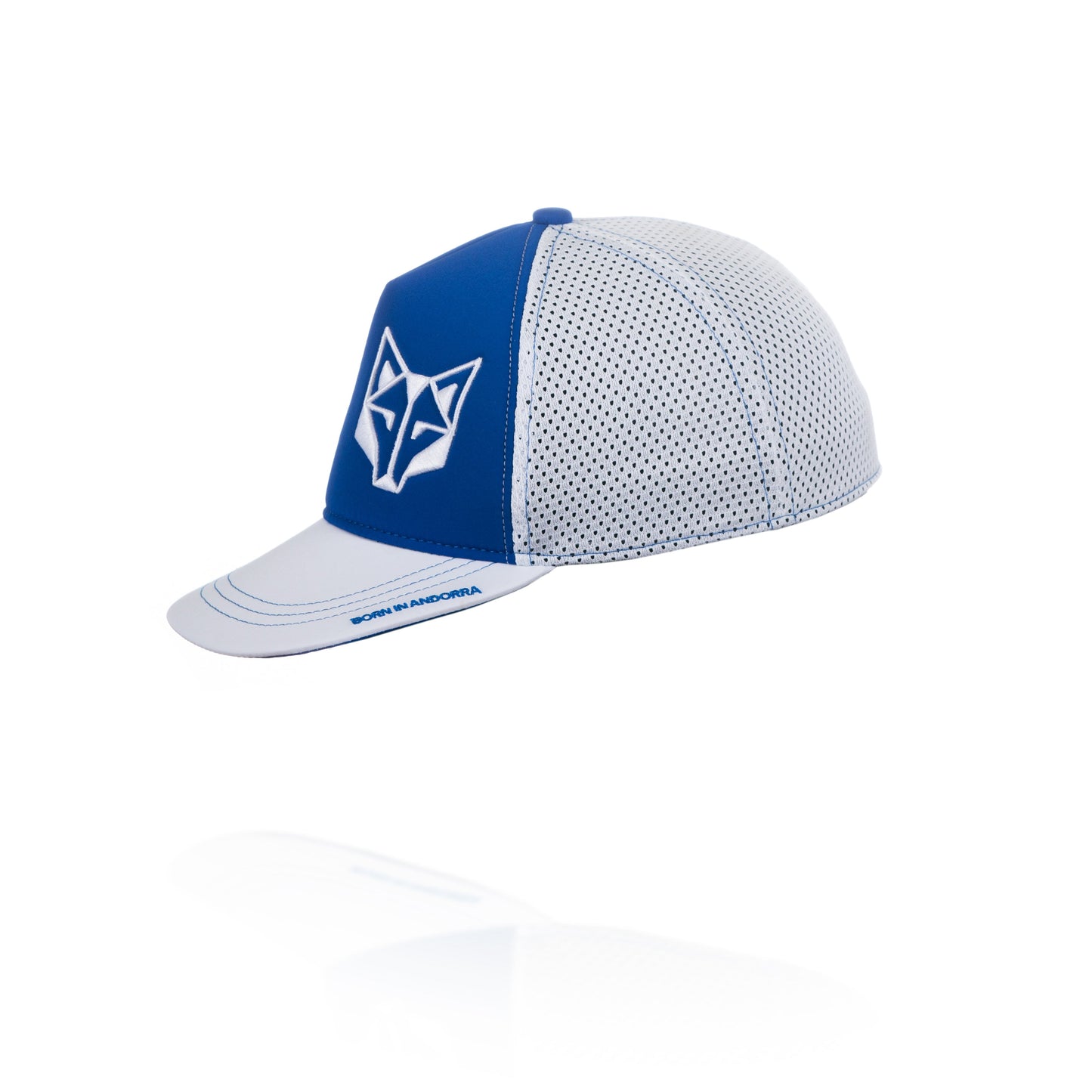 Gorra Snapback Electric Blue / White