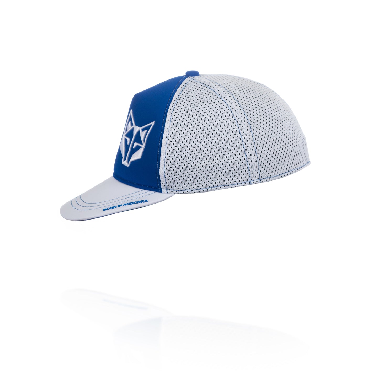 Gorra Snapback Electric Blue / White