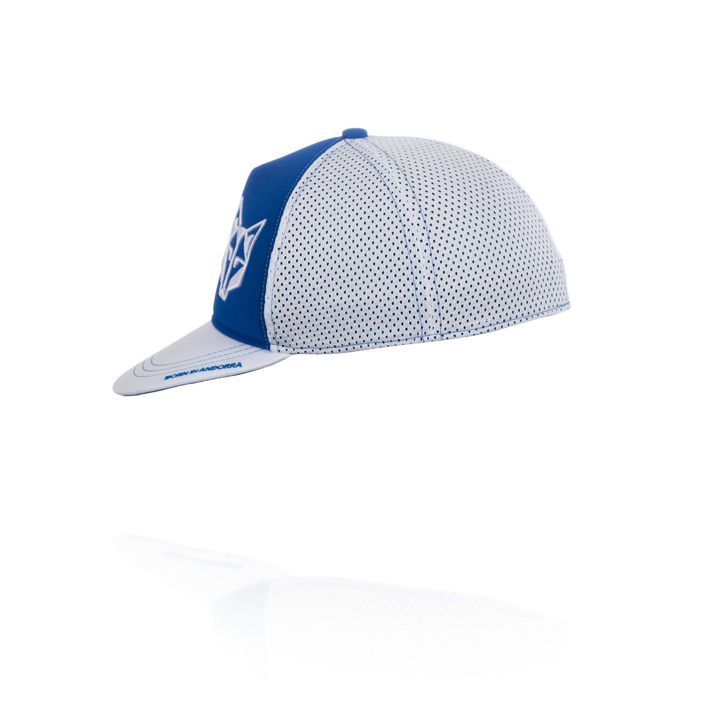 Gorra Snapback Electric Blue / White